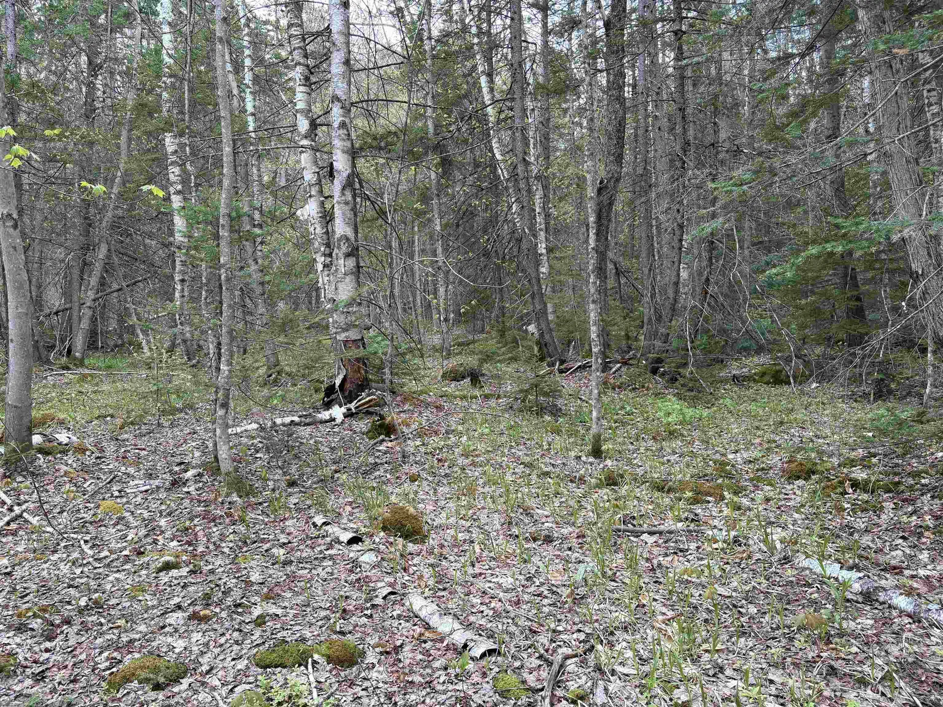 0 East Hill Road Andover VT 05143