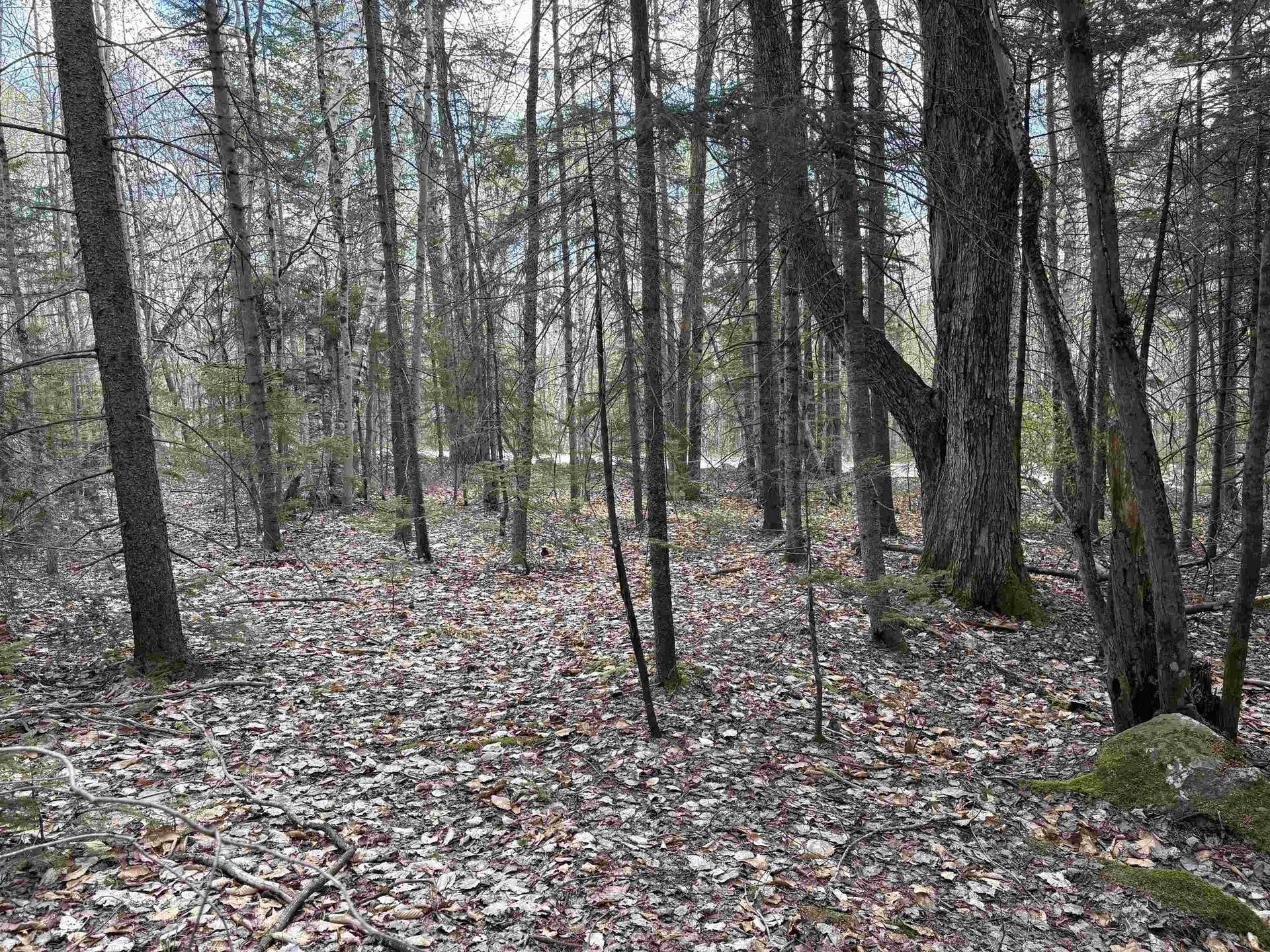0 East Hill Road Andover VT 05143