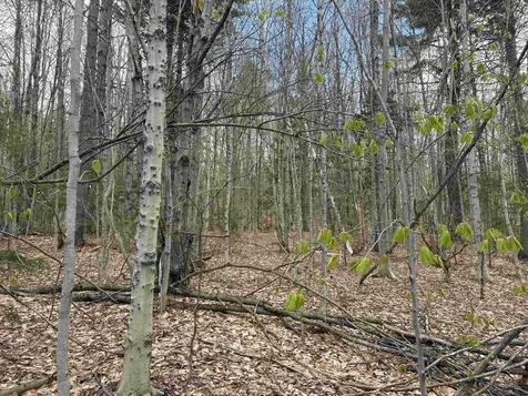 0 East Hill Road Andover VT 05143