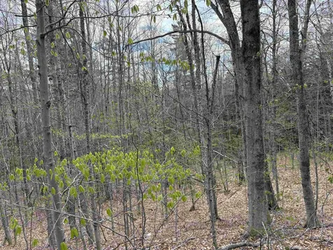 0 East Hill Road Andover VT 05143