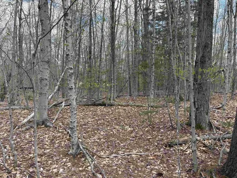 0 East Hill Road Andover VT 05143