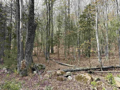 0 East Hill Road Andover VT 05143