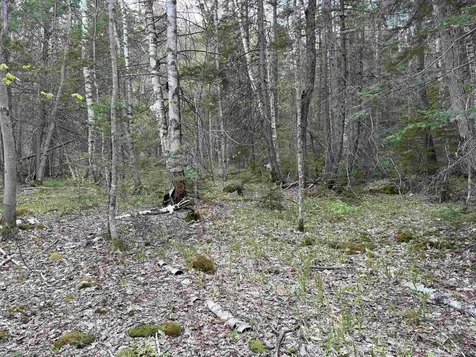 0 East Hill Road Andover VT 05143
