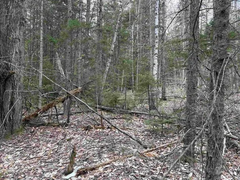 0 East Hill Road Andover VT 05143
