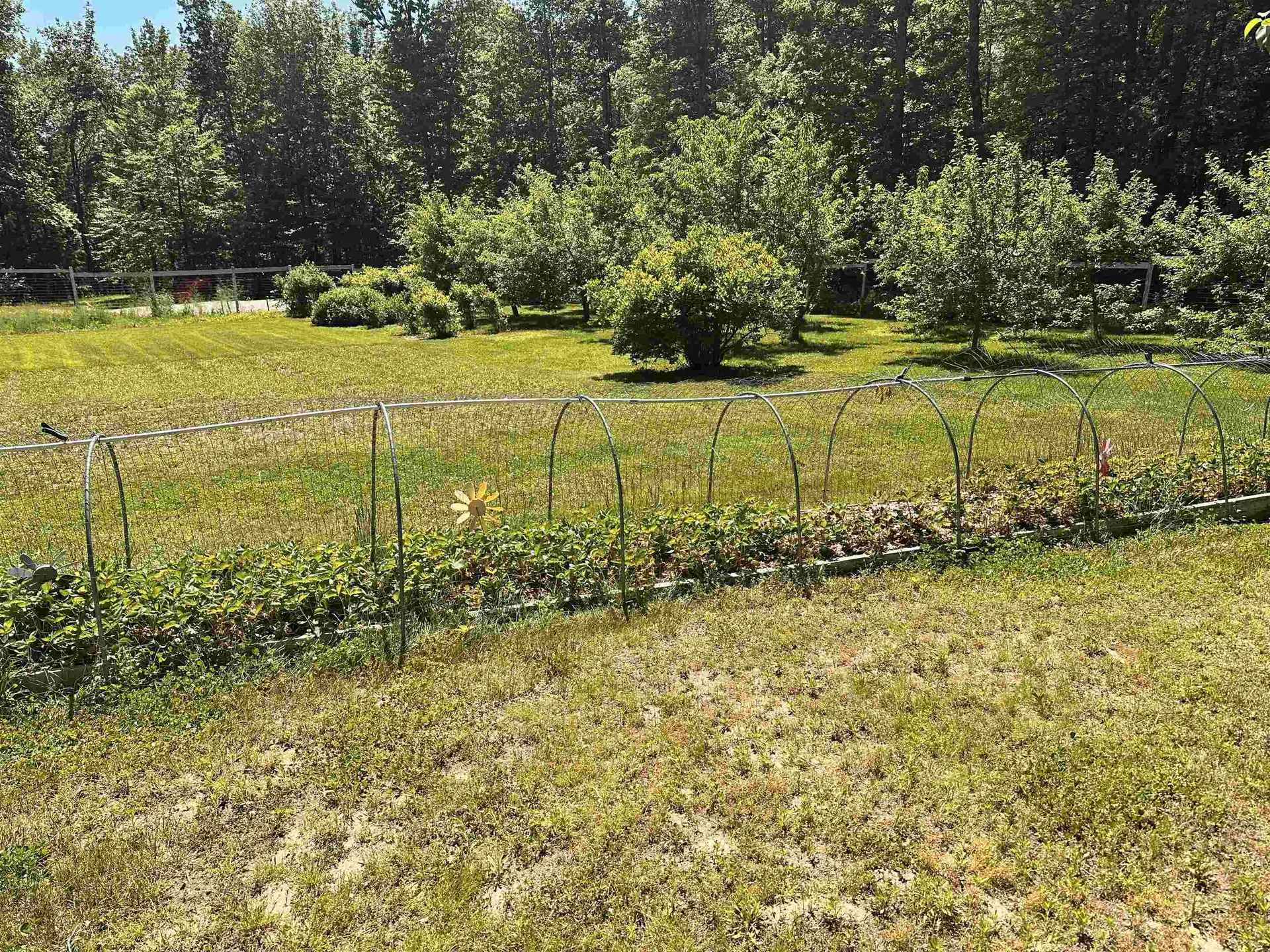378 Silver Street Middleton NH 03887