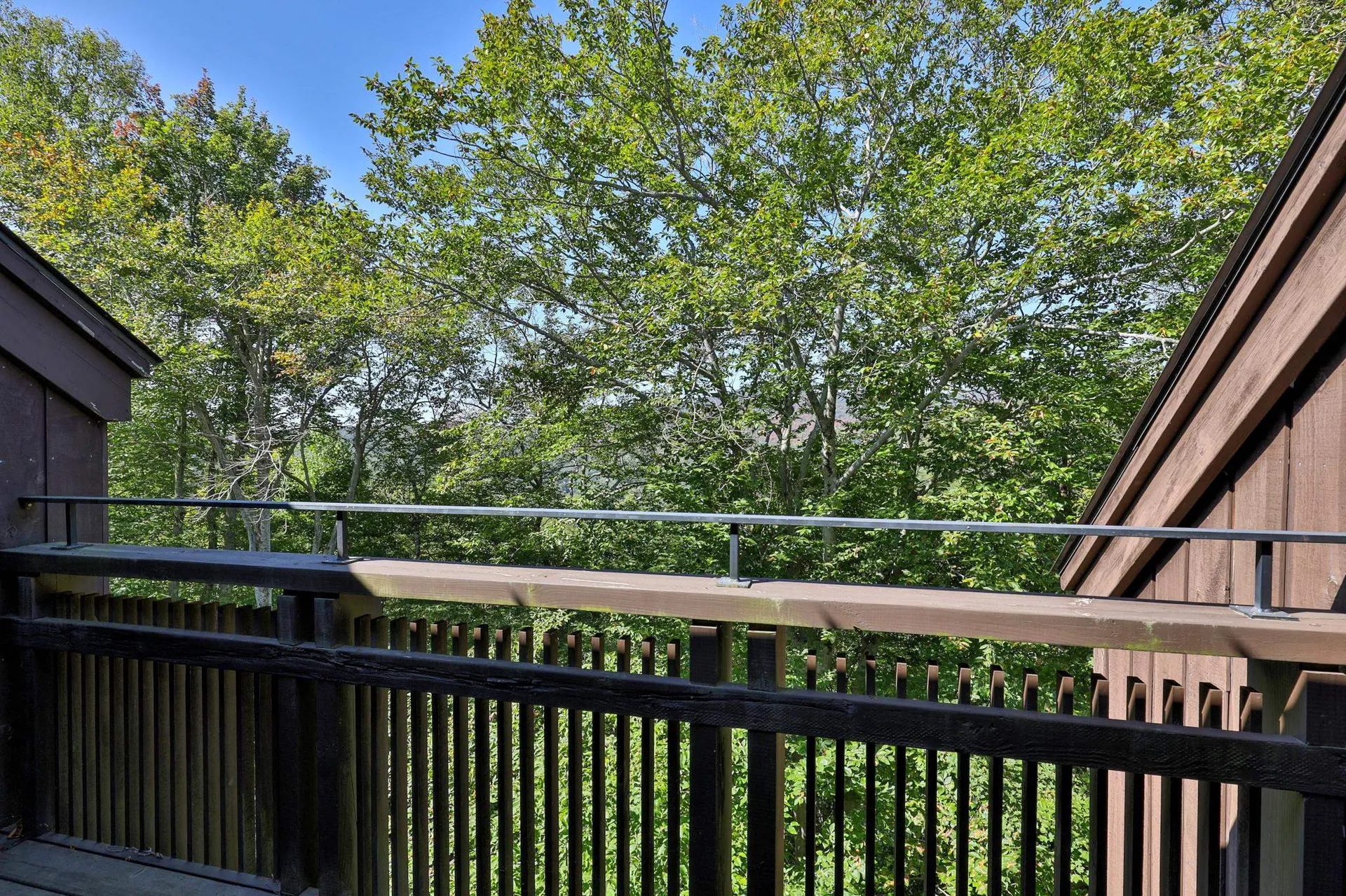107 Blueberry Ledge Ridge Plymouth VT 05056