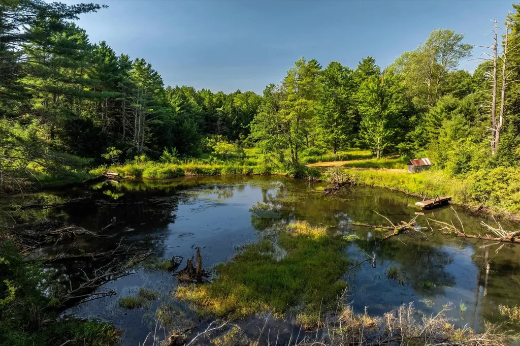 170 Needham Hill Road Orwell VT 05760