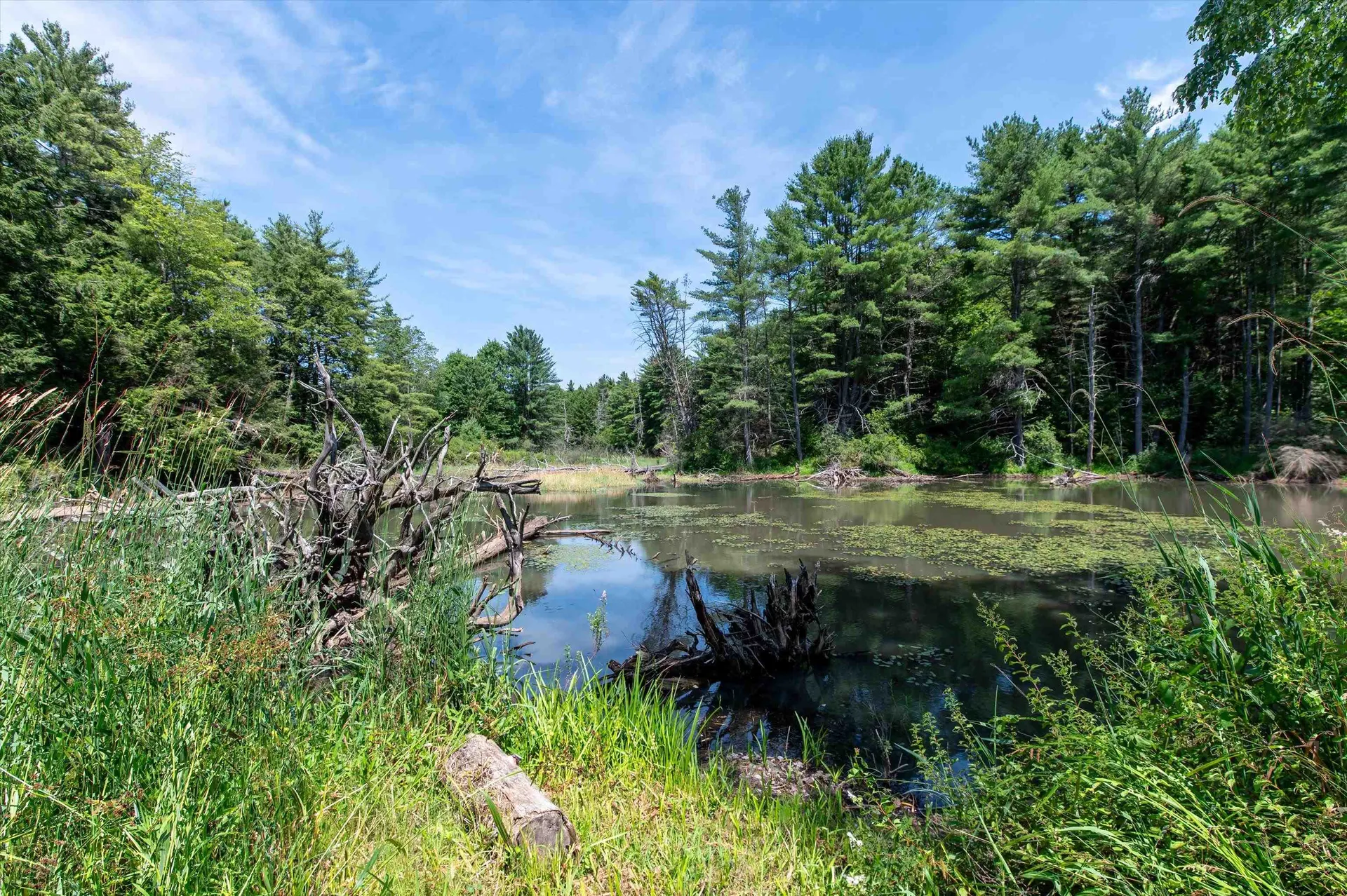 170 Needham Hill Road Orwell VT 05760