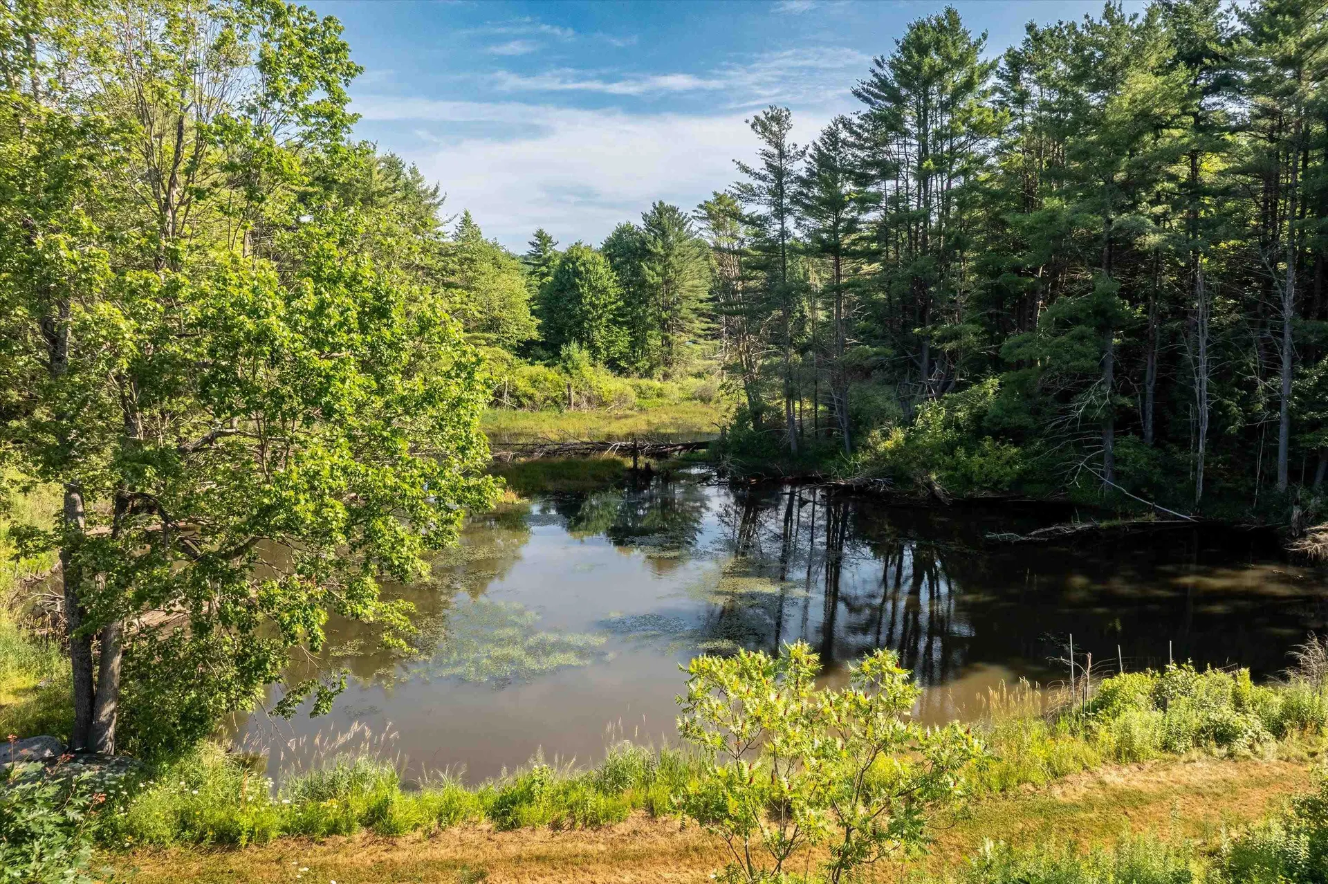 170 Needham Hill Road Orwell VT 05760