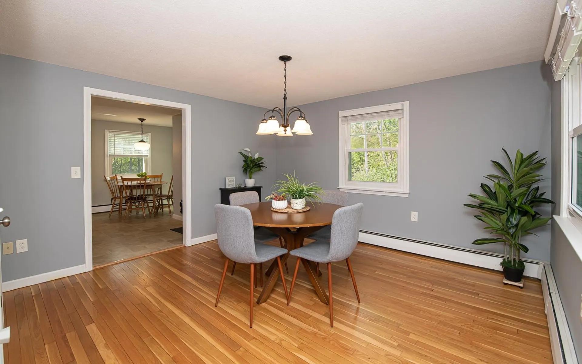 20 Alvirne Drive Hudson NH 03051
