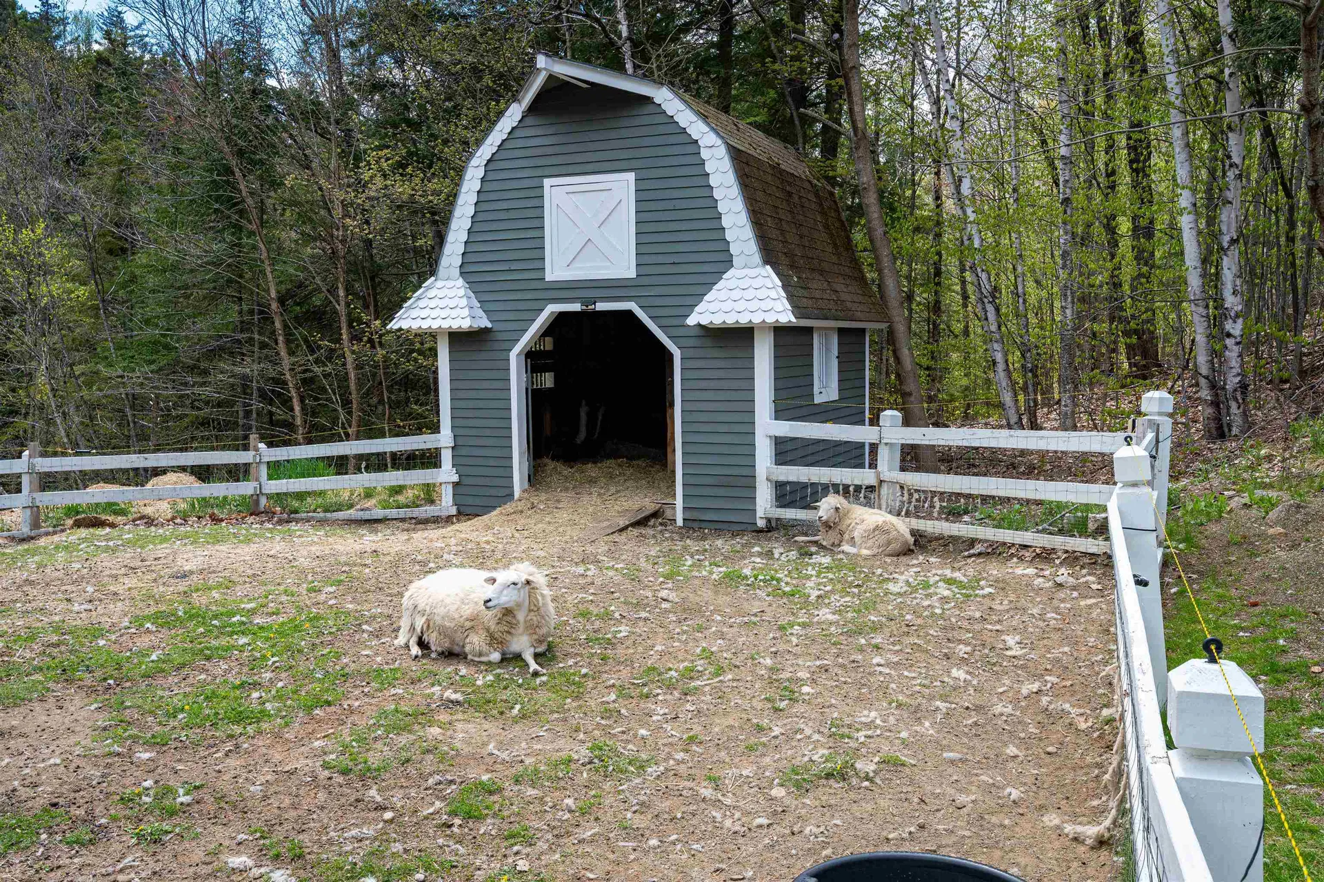 1 Nordic Village Lane Bartlett NH 03812