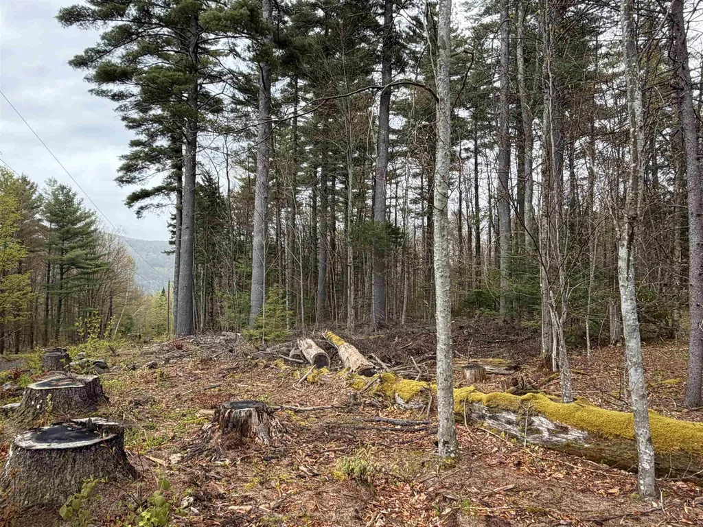 0 Bassett Hill Road Fayston VT 05673