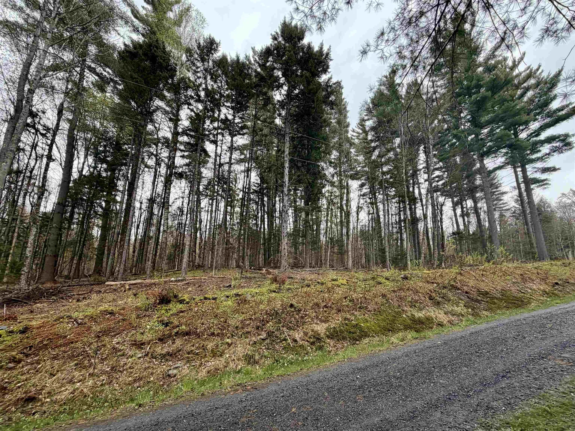 0 Bassett Hill Road Fayston VT 05673