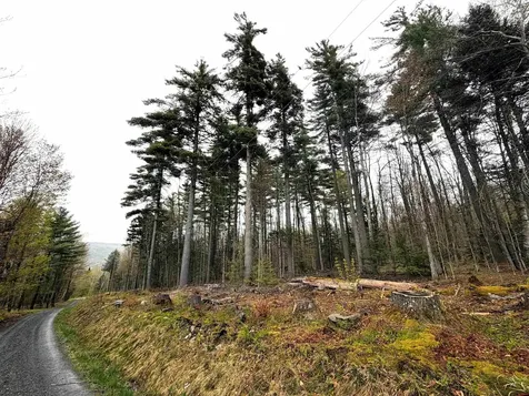 0 Bassett Hill Road Fayston VT 05673