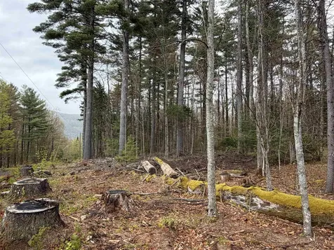 0 Bassett Hill Road Fayston VT 05673