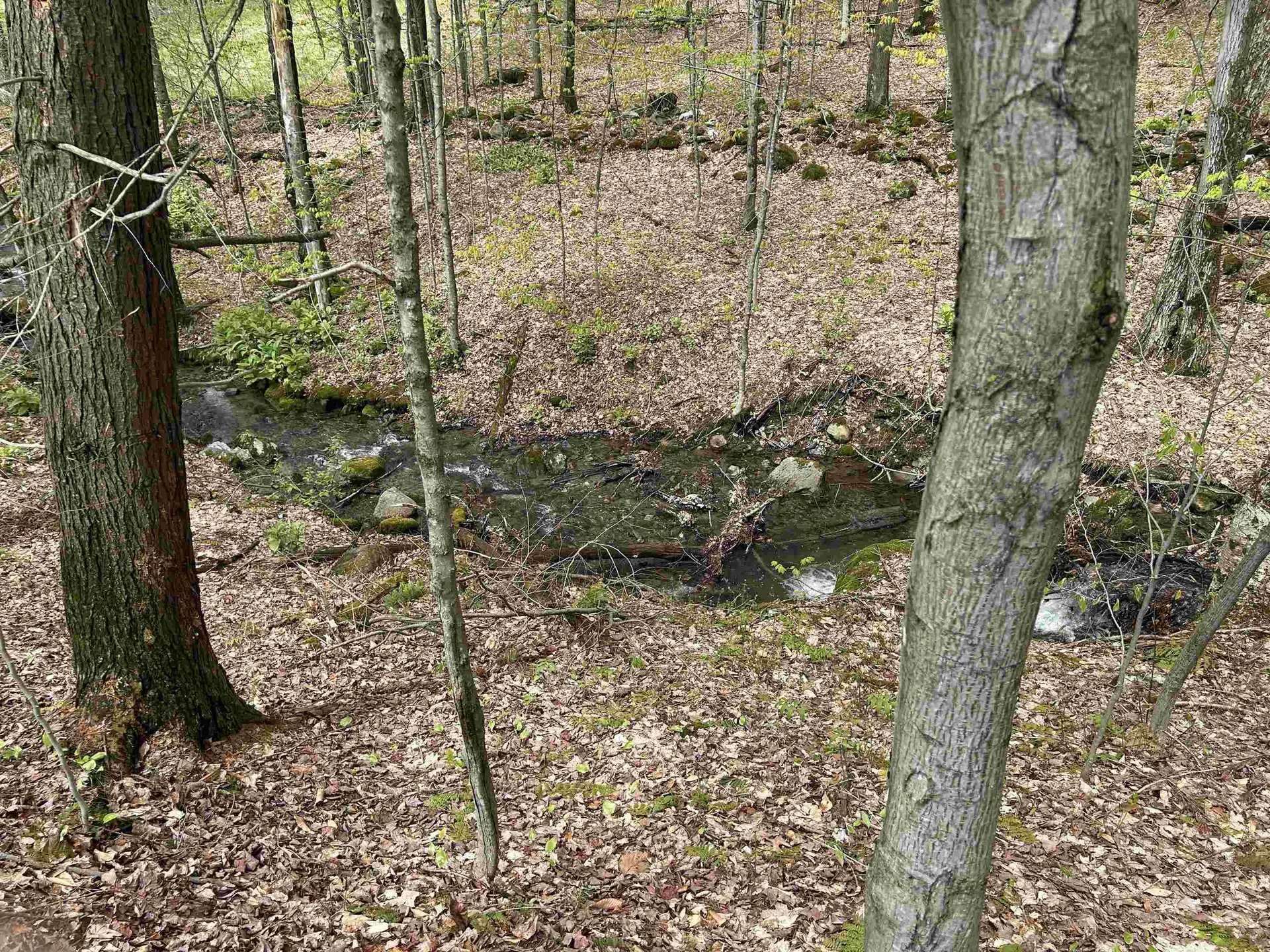 2767 Woodward Neighborhood Road Enosburg VT 05476