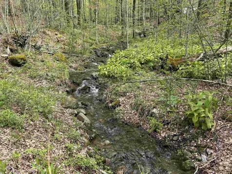 2767 Woodward Neighborhood Road Enosburg VT 05476
