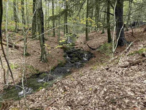 2767 Woodward Neighborhood Road Enosburg VT 05476