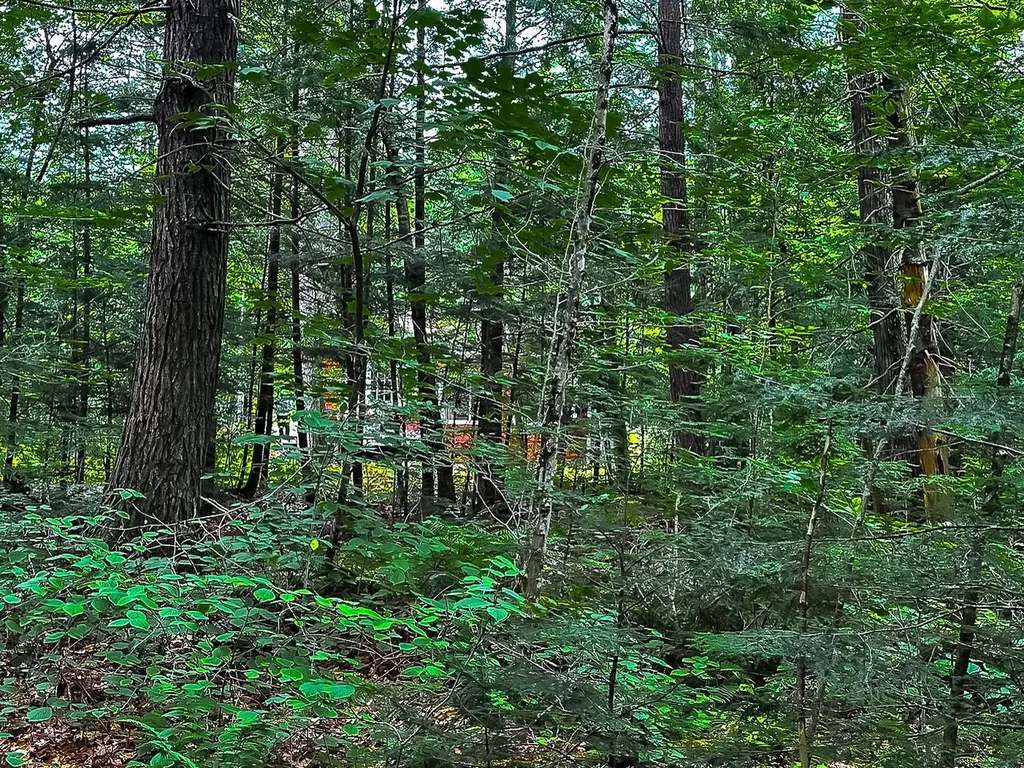 433 Nh Route 25a Wentworth NH 03282