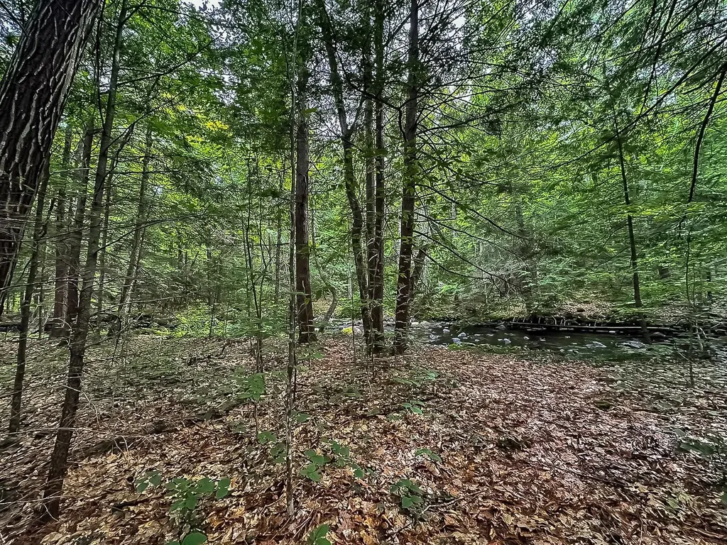 433 Nh Route 25a Wentworth NH 03282