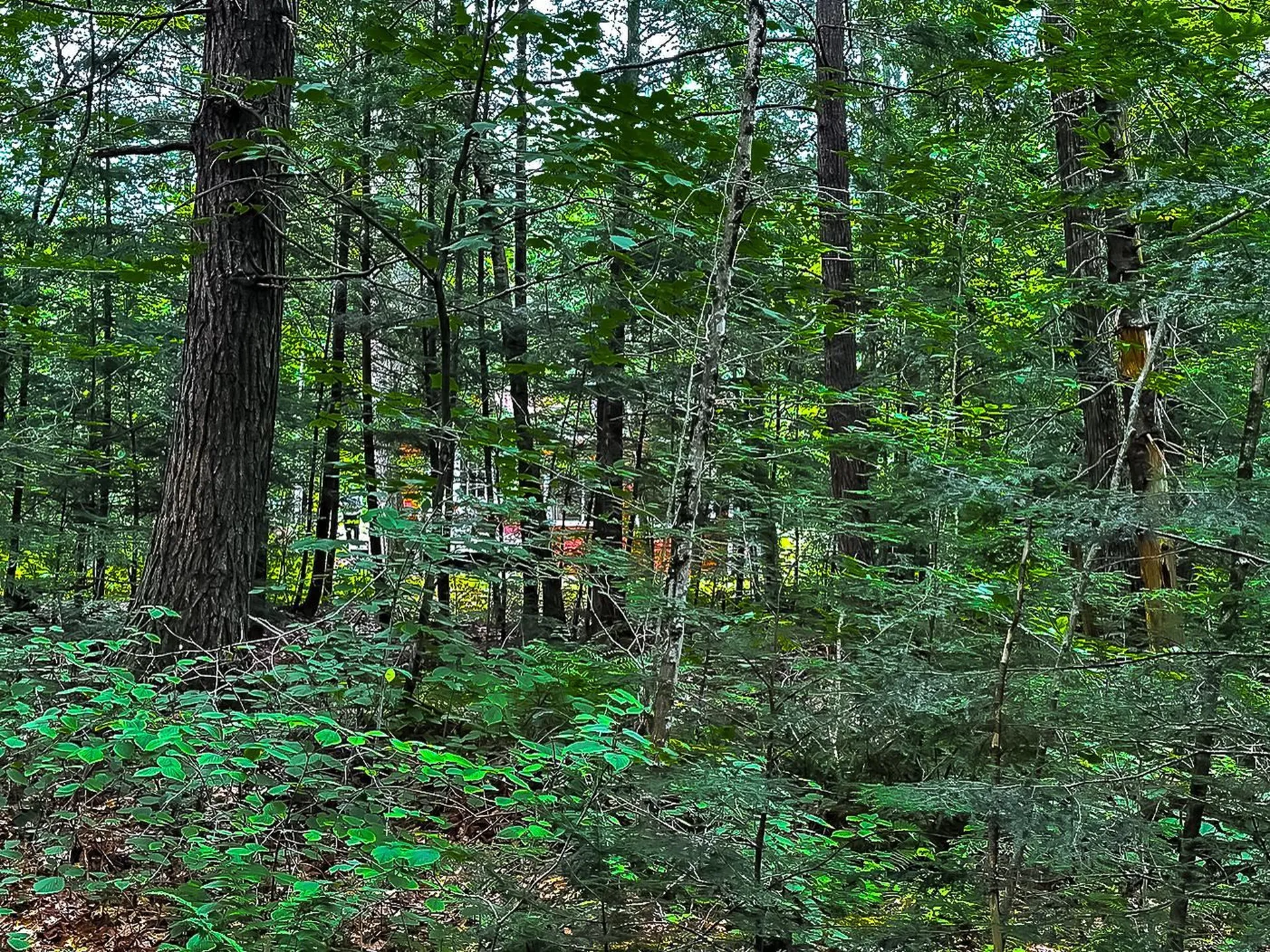 433 Nh Route 25a Wentworth NH 03282