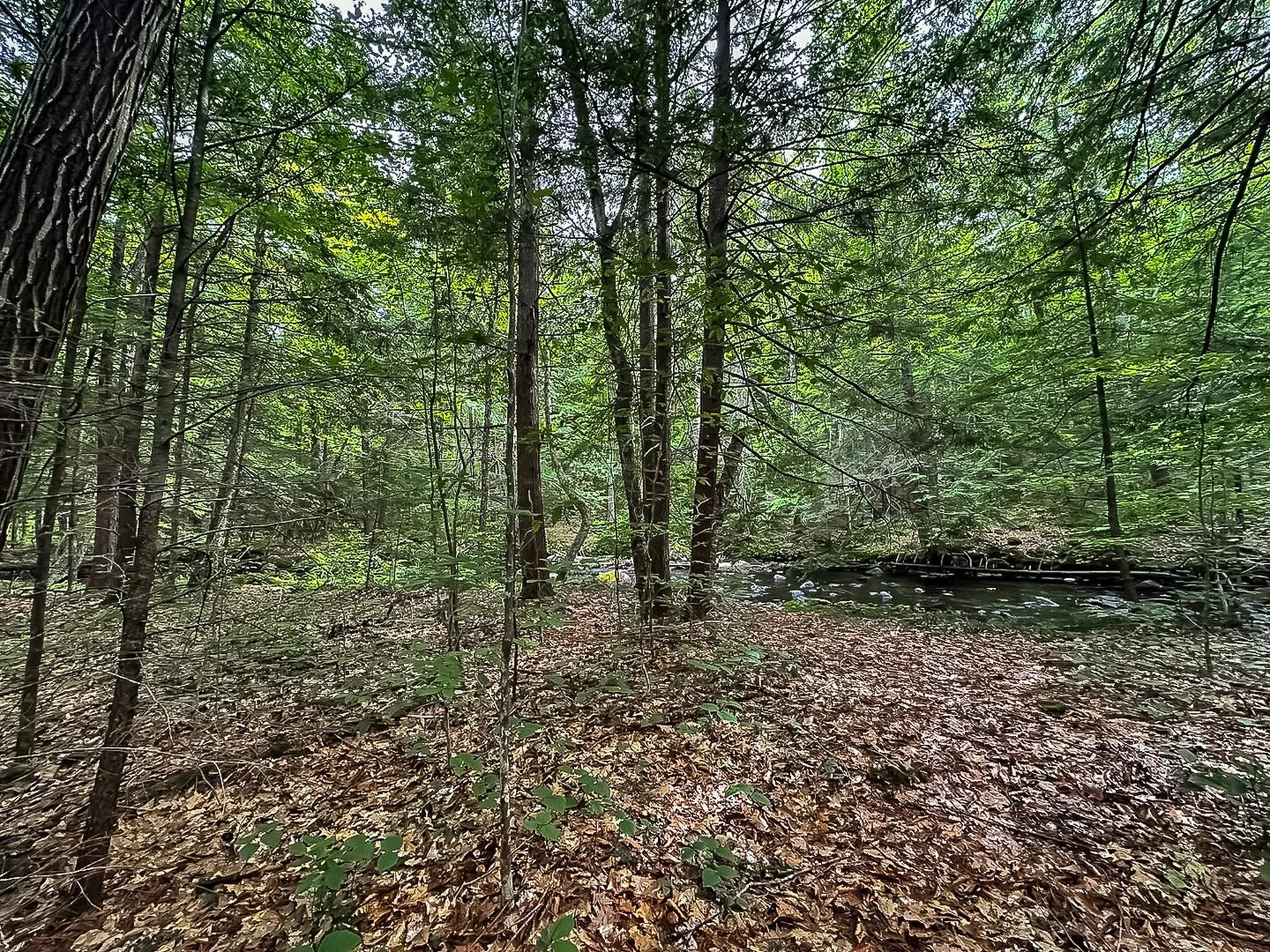 433 Nh Route 25a Wentworth NH 03282
