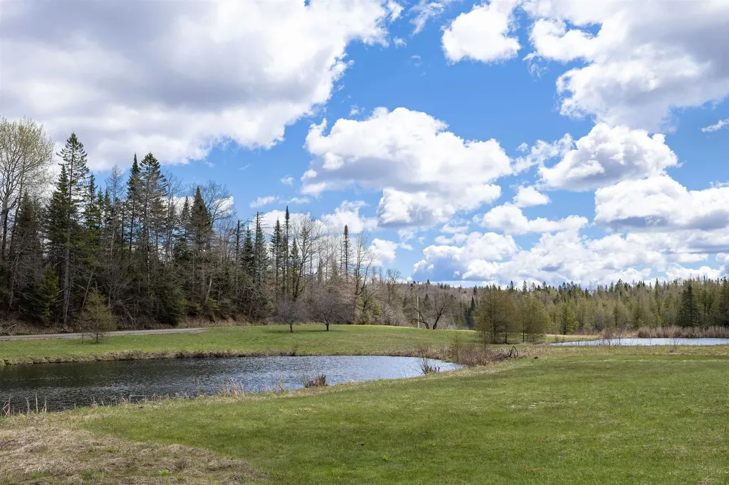 63 Stevens Hill East Walden VT 05873