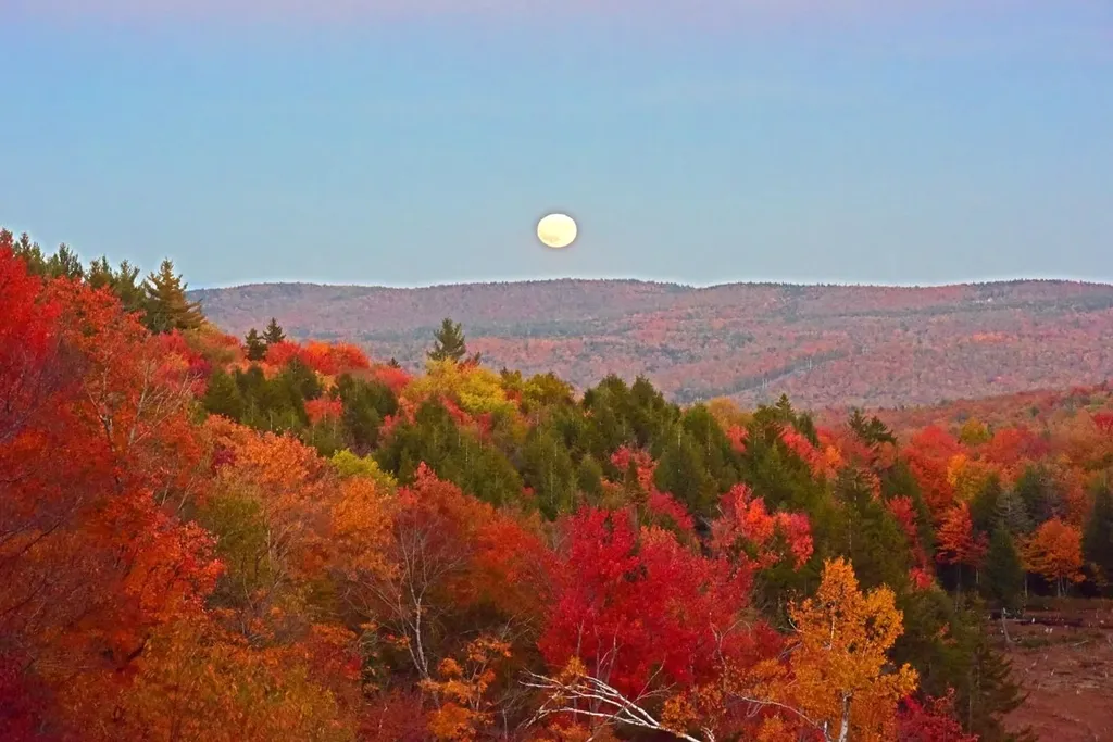 104 Johnny Cake Hill Lane Readsboro VT 05350