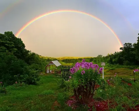 104 Johnny Cake Hill Lane Readsboro VT 05350