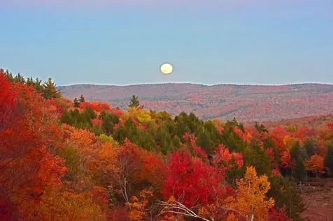 104 Johnny Cake Hill Lane Readsboro VT 05350