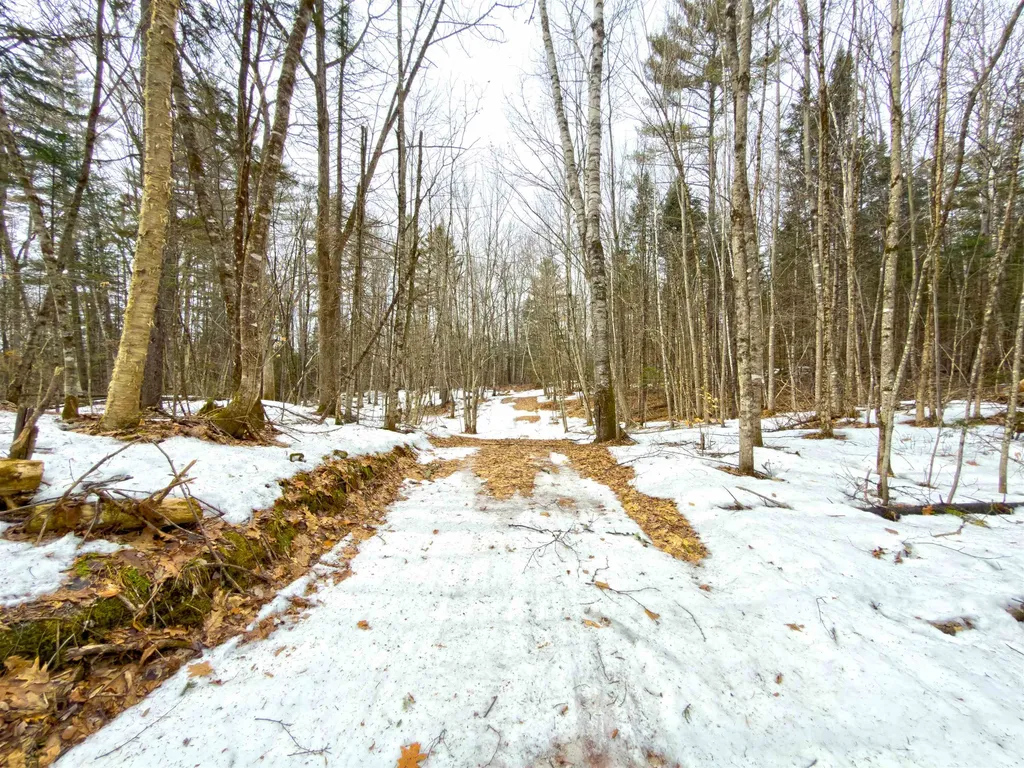 1988 Hudson Road Waterford VT 05848