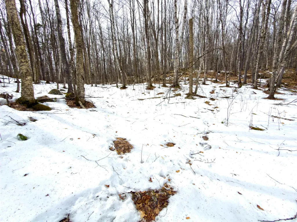 1988 Hudson Road Waterford VT 05848