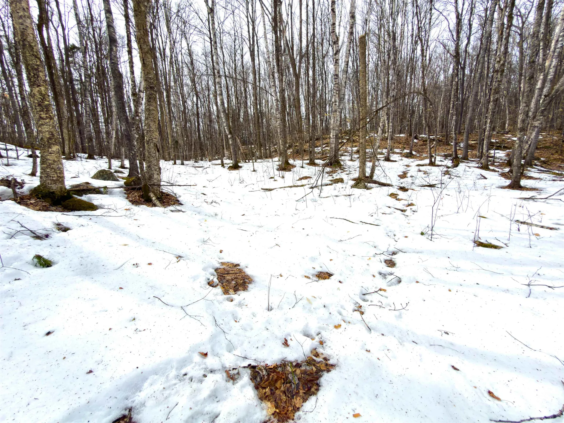 1988 Hudson Road Waterford VT 05848