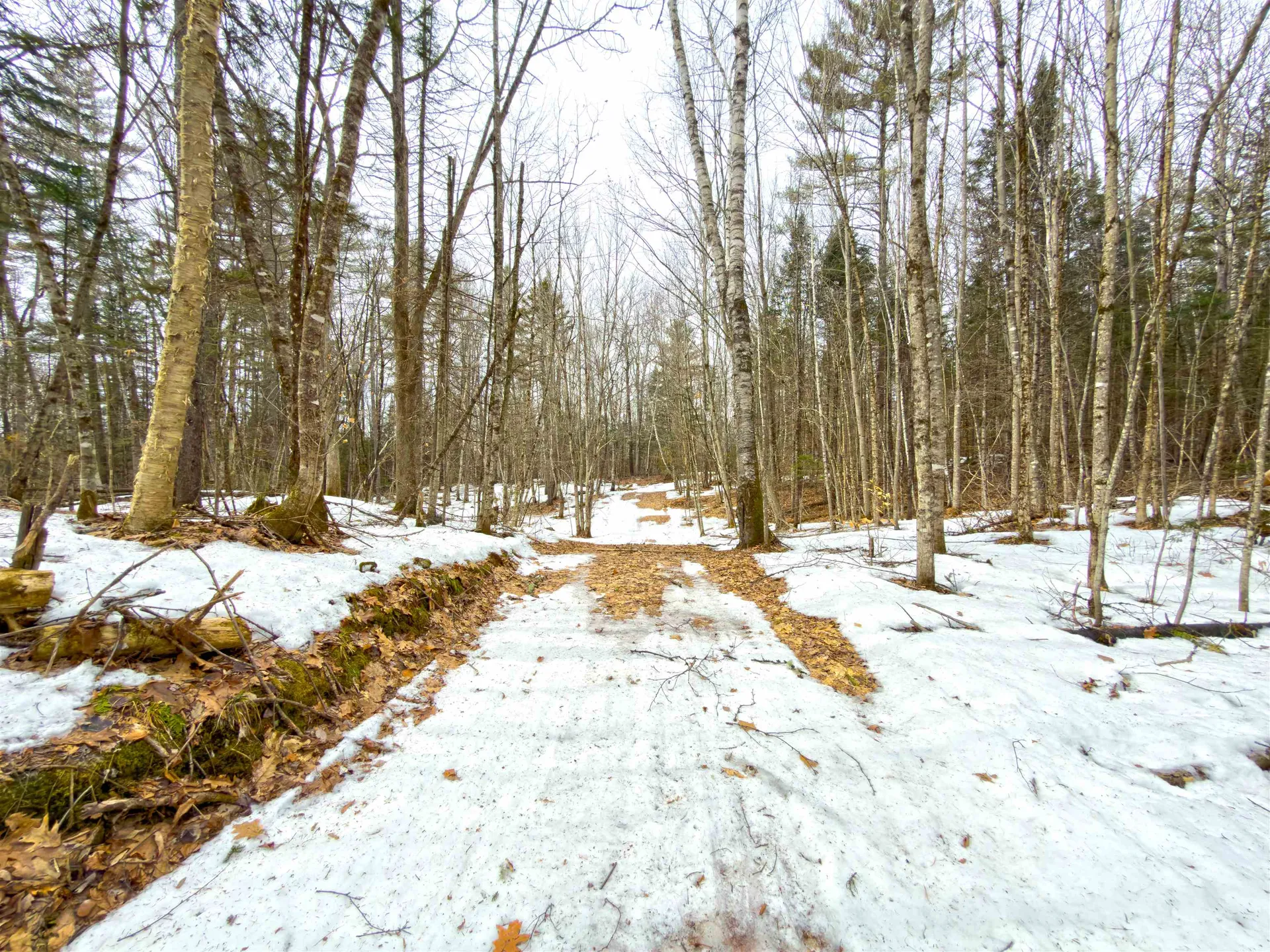1988 Hudson Road Waterford VT 05848