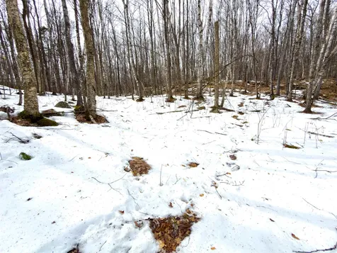 1988 Hudson Road Waterford VT 05848