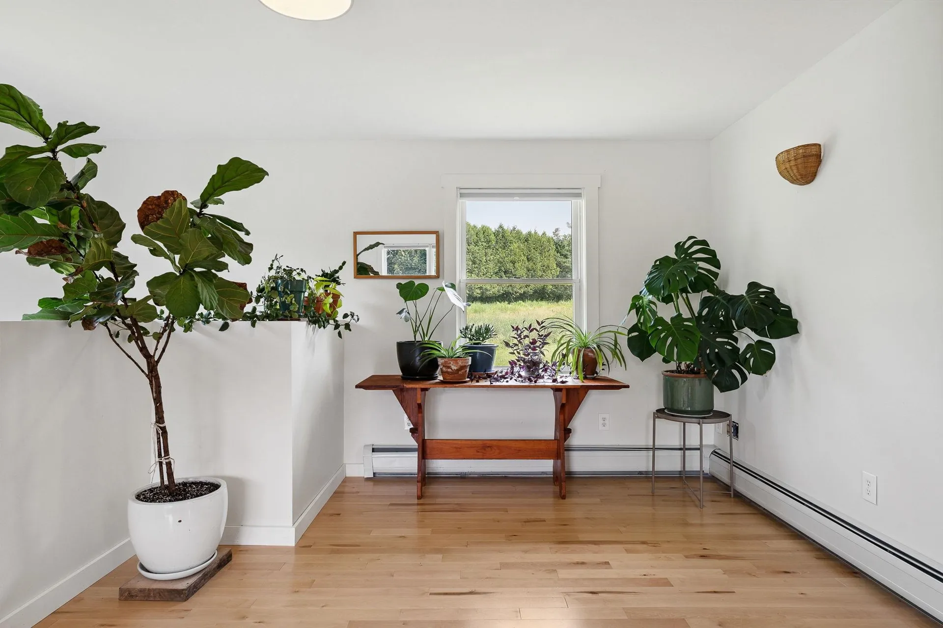 1152 Hopkins Hill Road Hardwick VT 05843