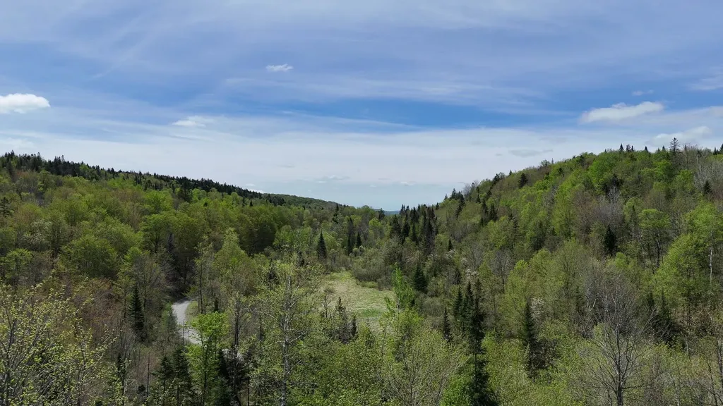 2900 Old Duck Pond Road Sheffield VT 05866