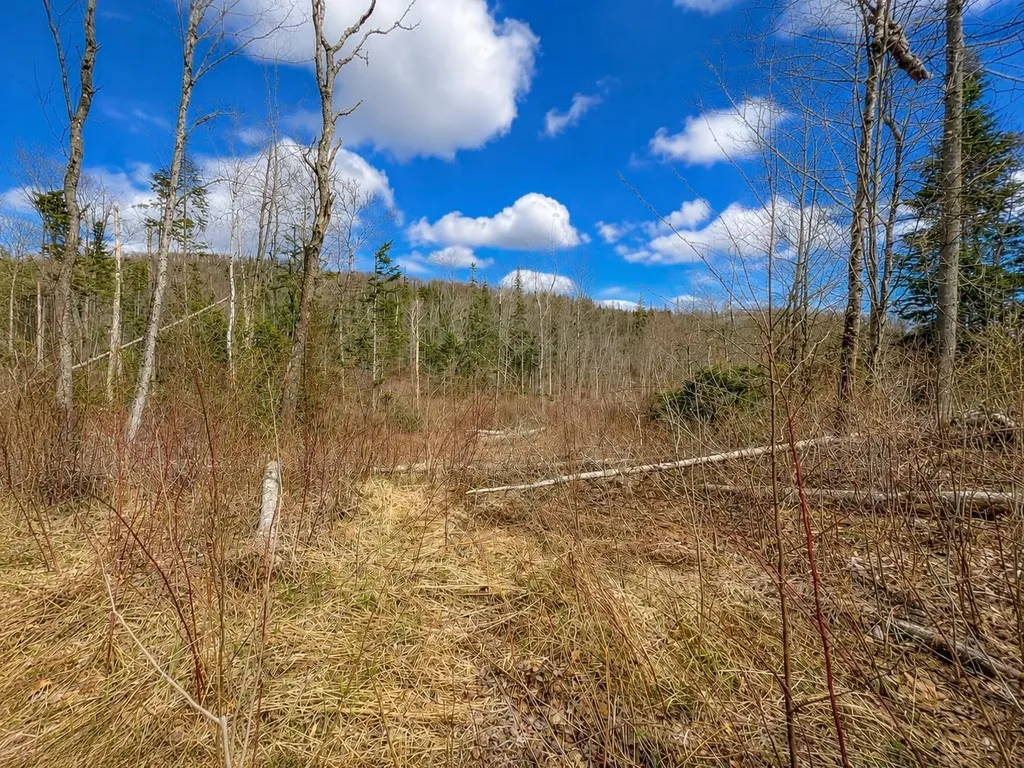2900 Old Duck Pond Road Sheffield VT 05866