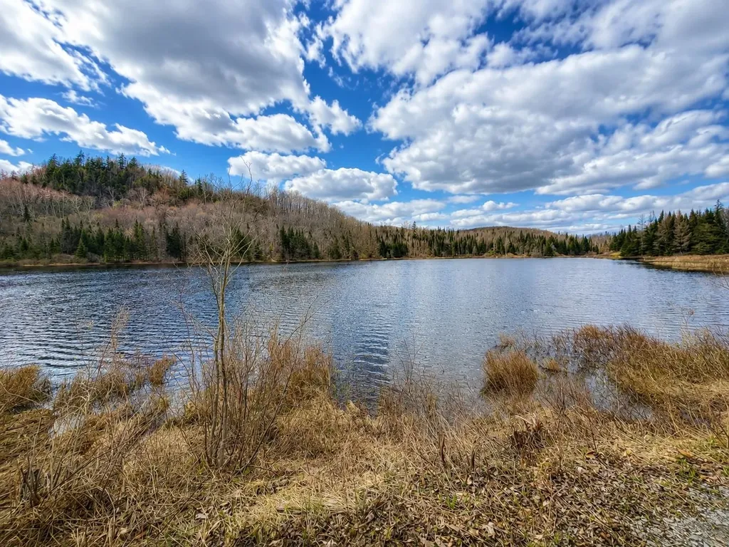 2900 Old Duck Pond Road Sheffield VT 05866