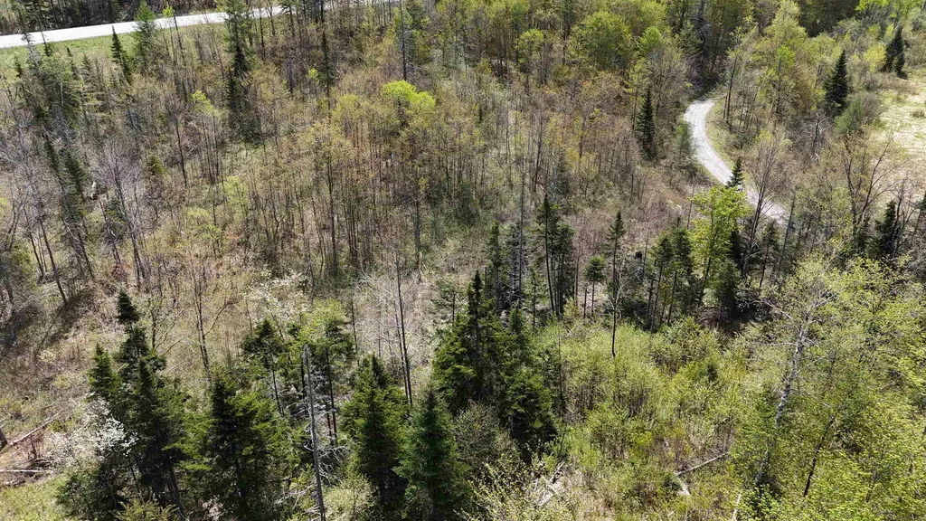 2900 Old Duck Pond Road Sheffield VT 05866