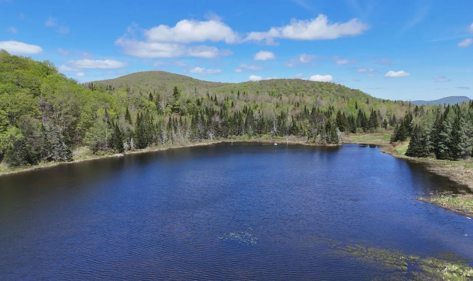 2900 Old Duck Pond Road Sheffield VT 05866