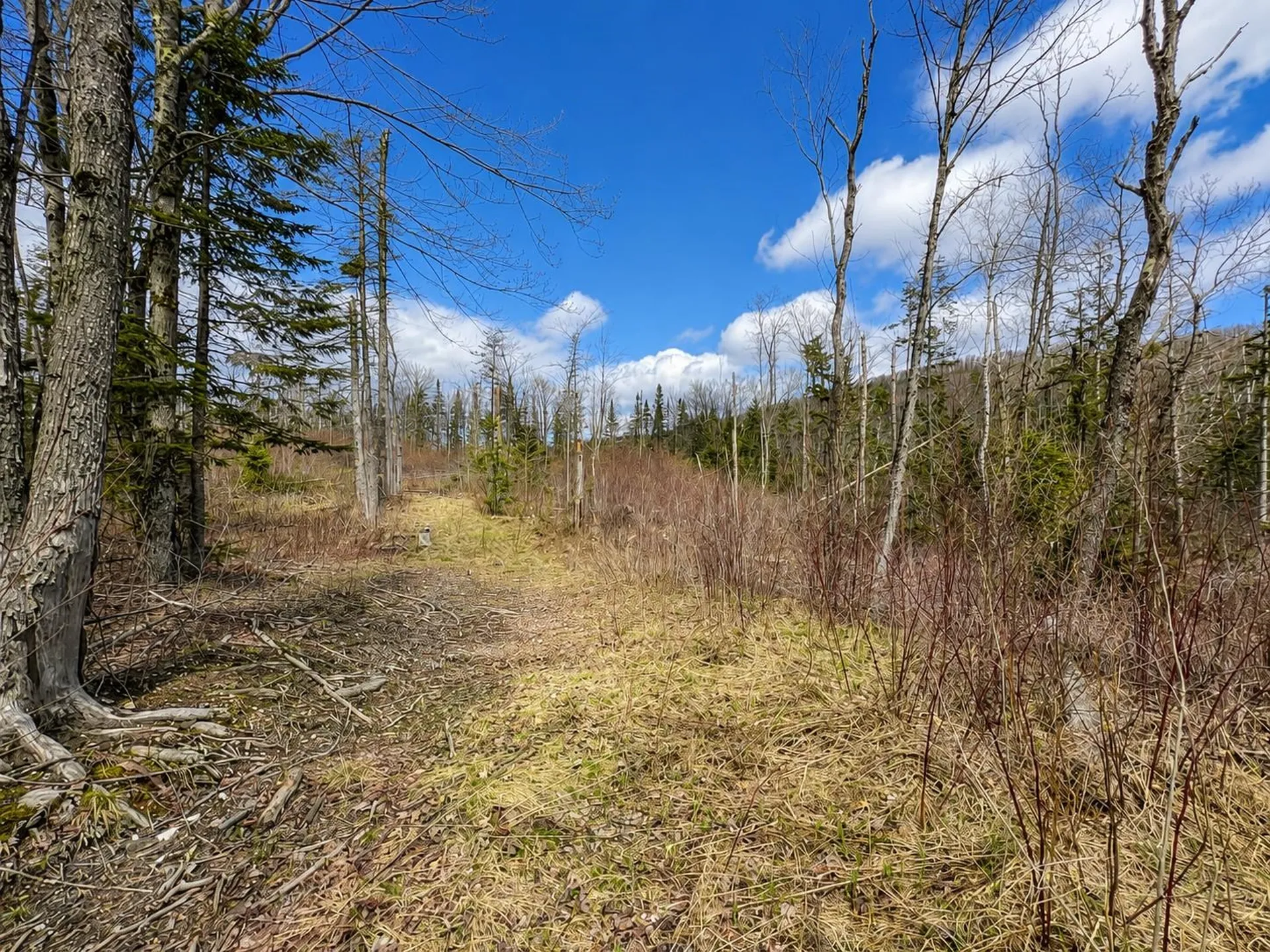 2900 Old Duck Pond Road Sheffield VT 05866