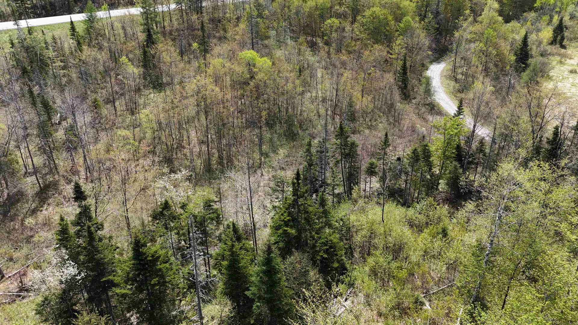 2900 Old Duck Pond Road Sheffield VT 05866