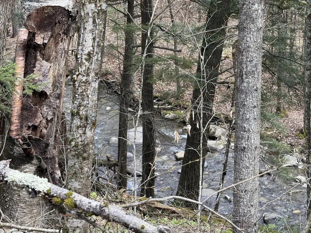 169 Jenkins Brook Road Chelsea VT 05038