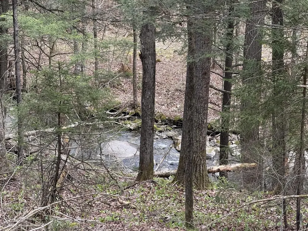 169 Jenkins Brook Road Chelsea VT 05038