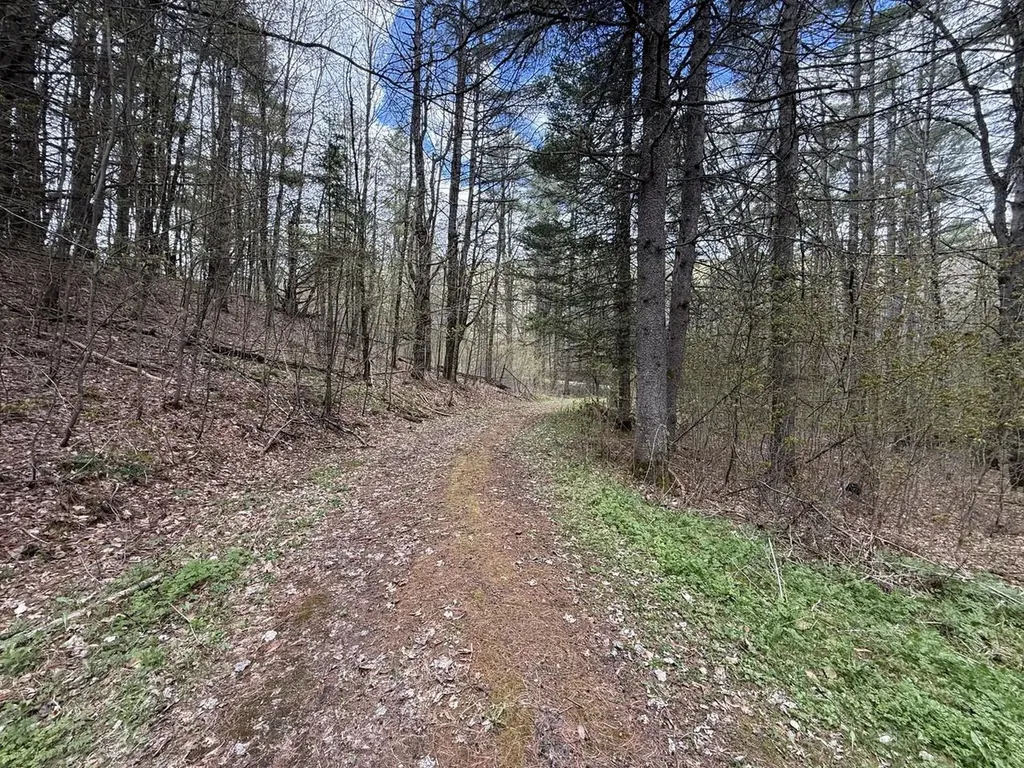 169 Jenkins Brook Road Chelsea VT 05038