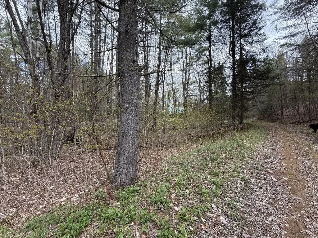 169 Jenkins Brook Road Chelsea VT 05038