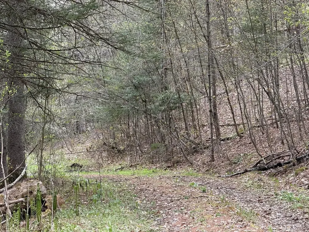 169 Jenkins Brook Road Chelsea VT 05038