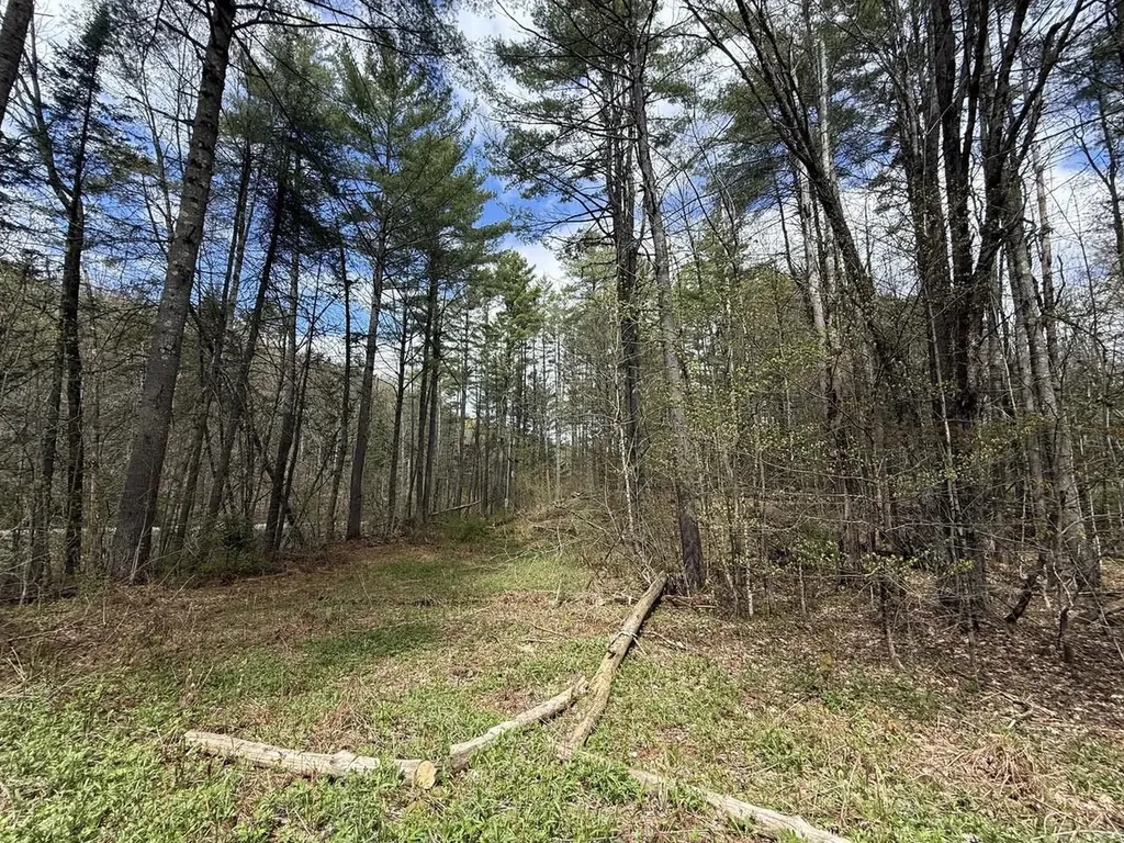 169 Jenkins Brook Road Chelsea VT 05038