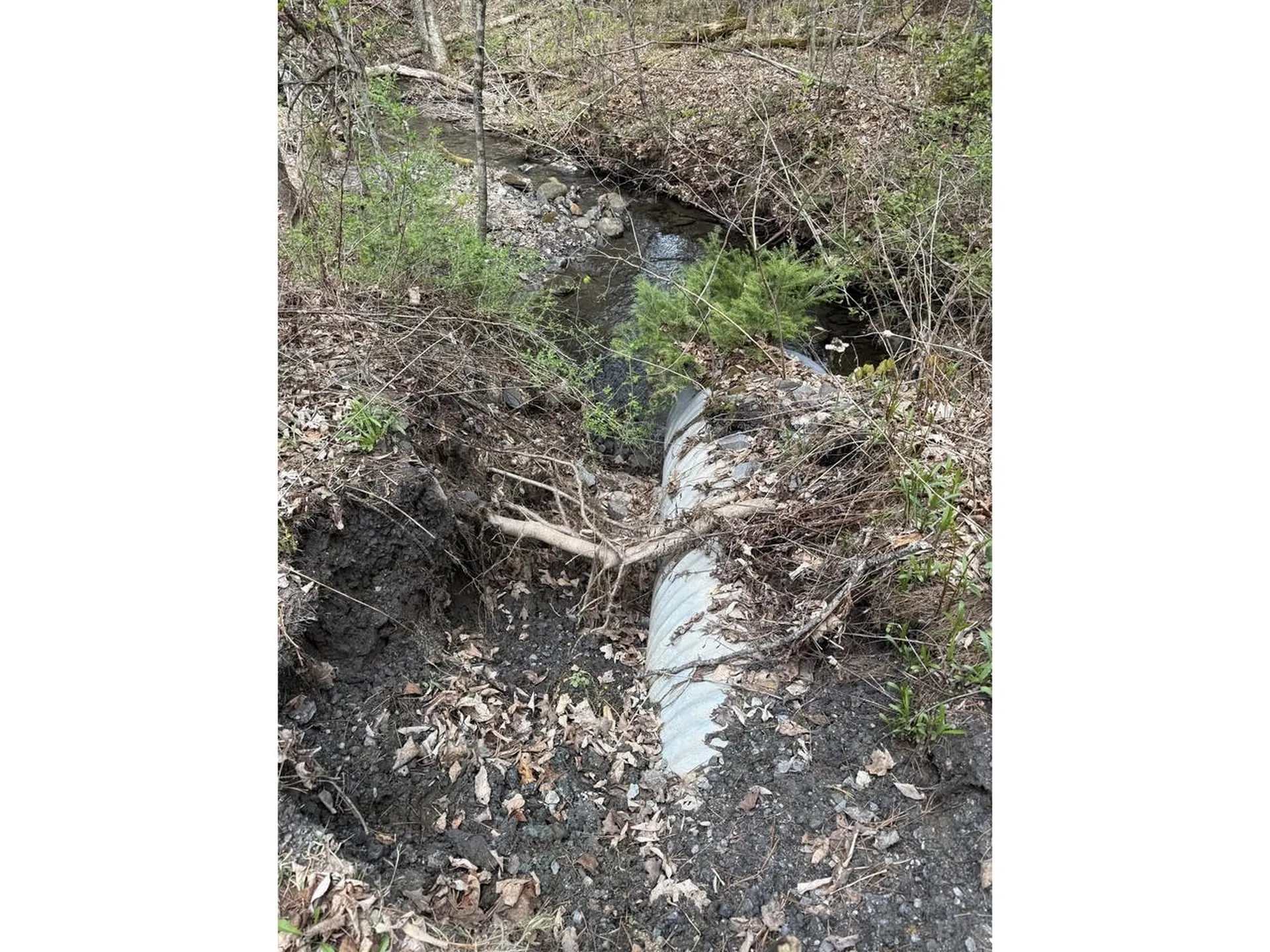 169 Jenkins Brook Road Chelsea VT 05038
